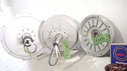 3kw 100rpm Disc Coreless Axial Flux Pmg con BV